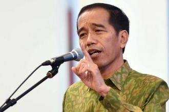 10 Undang-Undang Disahkan Tahun Ini, Jokowi Puji DPR