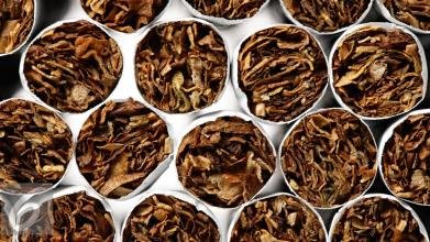 Pelaku Industri Tembakau Dukung Keputusan Cukai Tak Naik