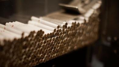 Penyederhanaan Struktur Cukai Rokok Berdampak ke Pabrikan Besar