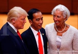 IMF ragu tax ratio Indonesia bisa tumbuh 5%